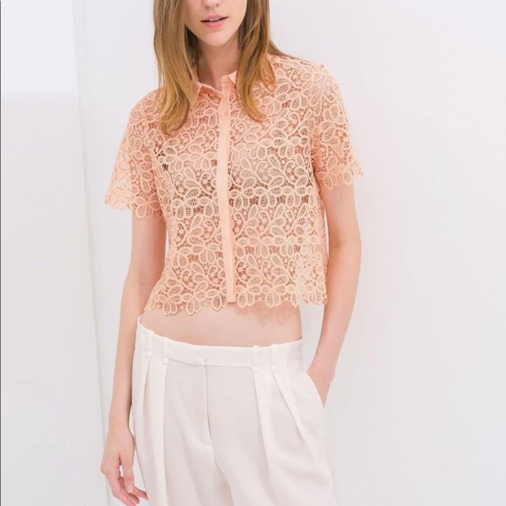 ZARA Guipure Lace Button Up Blouse